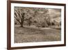 Crown Hill Cemetery, Indianapolis, Indiana-Rona Schwarz-Framed Photographic Print