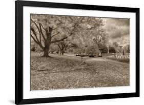 Crown Hill Cemetery, Indianapolis, Indiana-Rona Schwarz-Framed Photographic Print