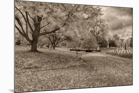 Crown Hill Cemetery, Indianapolis, Indiana-Rona Schwarz-Mounted Photographic Print