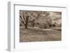 Crown Hill Cemetery, Indianapolis, Indiana-Rona Schwarz-Framed Photographic Print