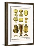 Crown Jellyfish, Sea Anenomes, Sea Hare and Chitons-Albertus Seba-Framed Art Print