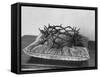 Crown of Thorns Worn by Actor in the King of Kings from Prop Collection of Cecil B. Demille-Ralph Crane-Framed Stretched Canvas