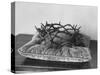 Crown of Thorns Worn by Actor in the King of Kings from Prop Collection of Cecil B. Demille-Ralph Crane-Stretched Canvas