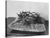 Crown of Thorns Worn by Actor in the King of Kings from Prop Collection of Cecil B. Demille-Ralph Crane-Stretched Canvas