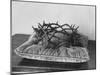Crown of Thorns Worn by Actor in the King of Kings from Prop Collection of Cecil B. Demille-Ralph Crane-Mounted Photographic Print