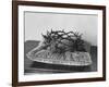 Crown of Thorns Worn by Actor in the King of Kings from Prop Collection of Cecil B. Demille-Ralph Crane-Framed Photographic Print