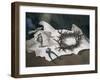 Crown of Thorns-Albert Houthuesen-Framed Giclee Print