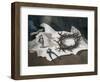 Crown of Thorns-Albert Houthuesen-Framed Giclee Print