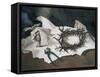 Crown of Thorns-Albert Houthuesen-Framed Stretched Canvas