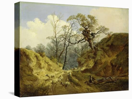 Crown Point, Whitlingham, Near Norwich, 1855-John Berney Ladbrooke-Stretched Canvas