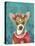 Crowned Chihuahua-Larisa Hernandez-Stretched Canvas