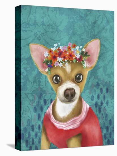 Crowned Chihuahua-Larisa Hernandez-Stretched Canvas