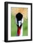 Crowned Crane Bird Look-Four Oaks-Framed Photographic Print