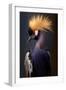 Crowned Crane I-Vivienne Dupont-Framed Art Print