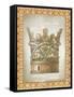 Crowning Glory-F-Jean Plout-Framed Stretched Canvas