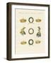 Crowns from the Ancients-null-Framed Giclee Print