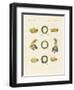Crowns from the Ancients-null-Framed Giclee Print