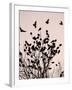 Crows Fly Over a Tree Where Others are Already Camped for the Night at Dusk in Bucharest Romania-null-Framed Premium Photographic Print