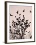 Crows Fly Over a Tree Where Others are Already Camped for the Night at Dusk in Bucharest Romania-null-Framed Premium Photographic Print