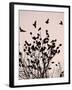 Crows Fly Over a Tree Where Others are Already Camped for the Night at Dusk in Bucharest Romania-null-Framed Premium Photographic Print