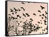 Crows Fly Over a Tree Where Others are Already Camped for the Night at Dusk in Bucharest Romania-null-Framed Stretched Canvas