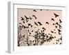 Crows Fly Over a Tree Where Others are Already Camped for the Night at Dusk in Bucharest Romania-null-Framed Premium Photographic Print