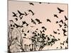 Crows Fly Over a Tree Where Others are Already Camped for the Night at Dusk in Bucharest Romania-null-Mounted Photographic Print