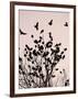 Crows Fly Over a Tree Where Others are Already Camped for the Night at Dusk in Bucharest Romania-null-Framed Photographic Print