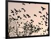 Crows Fly Over a Tree Where Others are Already Camped for the Night at Dusk in Bucharest Romania-null-Framed Photographic Print