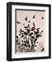 Crows Fly Over a Tree Where Others are Already Camped for the Night at Dusk in Bucharest Romania-null-Framed Photographic Print