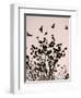 Crows Fly Over a Tree Where Others are Already Camped for the Night at Dusk in Bucharest Romania-null-Framed Photographic Print