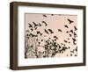 Crows Fly Over a Tree Where Others are Already Camped for the Night at Dusk in Bucharest Romania-null-Framed Photographic Print