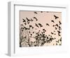 Crows Fly Over a Tree Where Others are Already Camped for the Night at Dusk in Bucharest Romania-null-Framed Photographic Print