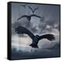 Crows Flying-AlienCat-Framed Stretched Canvas