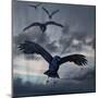 Crows Flying-AlienCat-Mounted Art Print