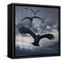 Crows Flying-AlienCat-Framed Stretched Canvas