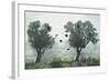 Crows in the Mist-S. Amer-Framed Photographic Print