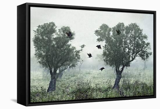 Crows in the Mist-S. Amer-Framed Stretched Canvas