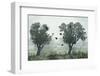 Crows in the Mist-S. Amer-Framed Photographic Print