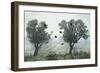 Crows in the Mist-S. Amer-Framed Photographic Print