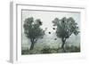 Crows in the Mist-S. Amer-Framed Photographic Print