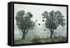 Crows in the Mist-S. Amer-Framed Stretched Canvas