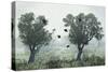 Crows in the Mist-S. Amer-Stretched Canvas