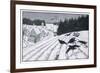 Crows Search for Food in the Snow in Fields on the Outskirts of a German Village-Walther Georgi-Framed Art Print