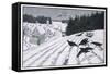 Crows Search for Food in the Snow in Fields on the Outskirts of a German Village-Walther Georgi-Framed Stretched Canvas