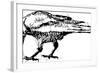 Crows Vector Pen Drawing.-Gepard-Framed Art Print