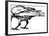 Crows Vector Pen Drawing.-Gepard-Framed Art Print