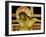 Crucifix-Cimabue-Framed Giclee Print