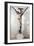 Crucifix-Giovanni Pisano-Framed Giclee Print