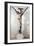Crucifix-Giovanni Pisano-Framed Giclee Print